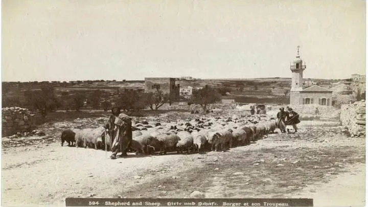 Tarihten Bir Portre: Eyyubi Komutanı Şeyh Cerrah