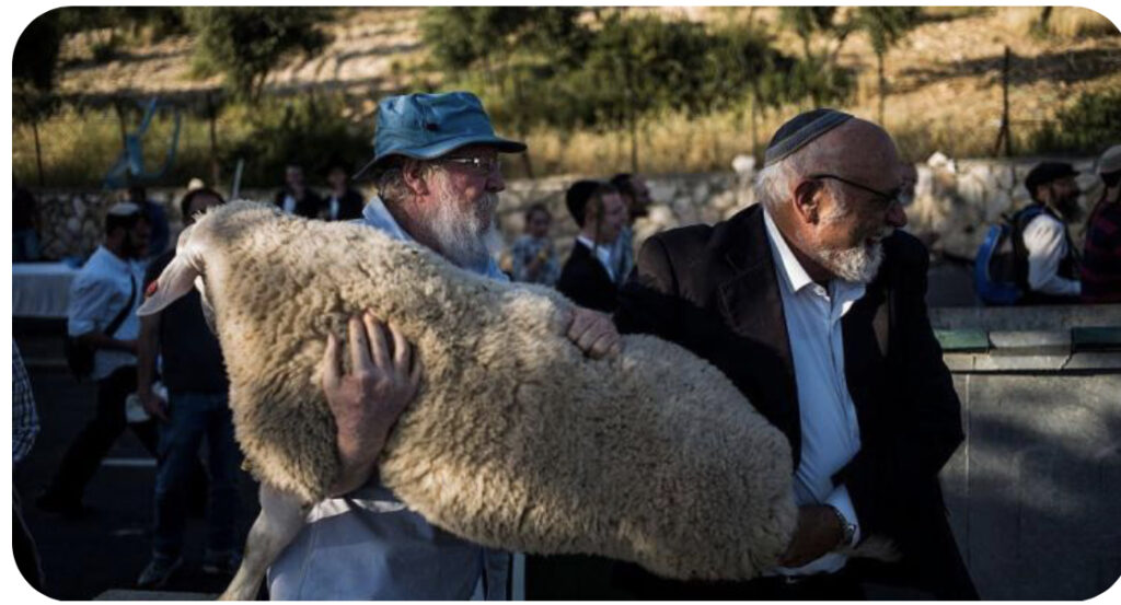 Mescid-i Aksa’ya Kurban Sokulması… Mescid-i Aksa’yı Zor Günlerin Beklediğine Dair Bir Uyarı