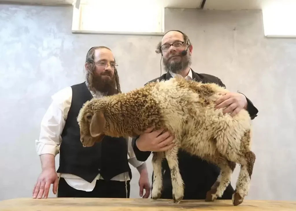 Kurban Efsanesi ve Mescid-i Aksa İçin Taşıdığı Tehlike