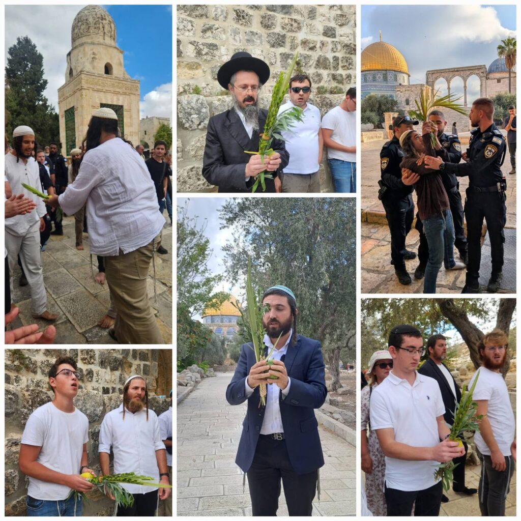 Sukot Bayram Baskınlarının Altıncı Gününün Özeti